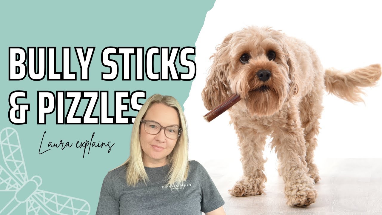 The Benefits of Pizzles & Bully Sticks For Dogs | Video
