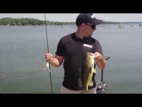 Lunker Frog Surprise Attack