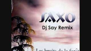 Saxo - Les Bruits de la Foret 2010 (Dj Say Remix)