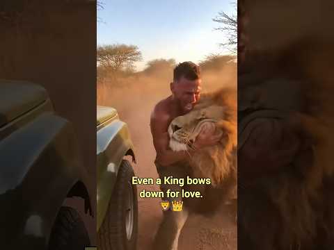 When Wild Animals See Their Best Friends Again