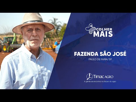 Toninho Saraceni - Paulo de Faria/SP | Milho - Colher Mais - Fertiactyl, PROGEN Detox e Fertileader