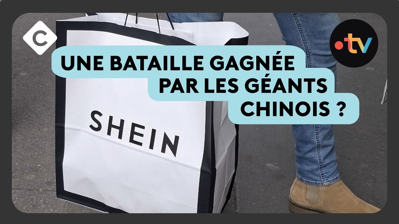 Les Français réduisent leurs dépenses : Shein comme dernière solution ?