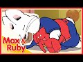 Max Ruby The Bunny Who Cried Lobster Max And The Three Bears Little Ruby Hen Ep 59