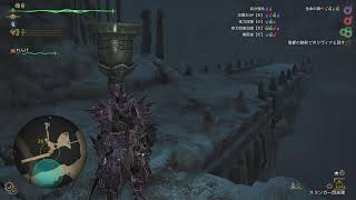 モンスターハンターワイルズ 自分のための記録配信04