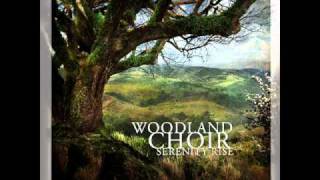 WOODLAND CHOIR - Safe here