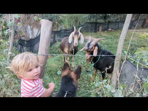 Ruby & Gloria 21.07.2023