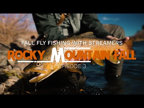 Colorado Fall Fly Fishing for Big Browns and Rainbows // ROCKY MOUNTAIN FALL - Episode 3