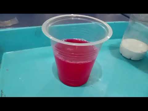 cara membuat gunung meletus piket selasa kelas 5e sd cipta dharma