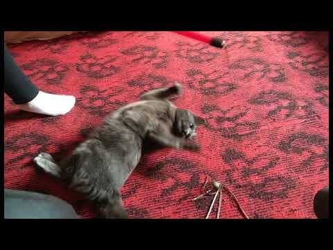 Bram Meindersma + David OReilly - [The External World OST #06] Happy Guy Reprise