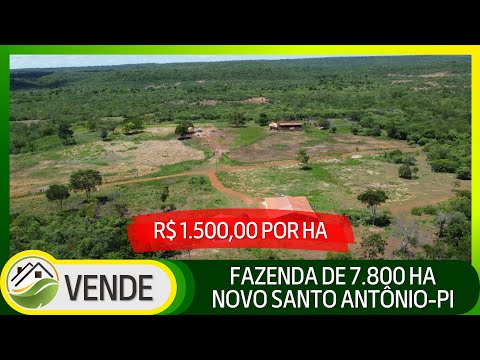 FAZENDA DE 7.800 HA NO PIAUÍ