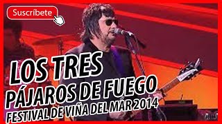 LOS TRES - PÁJAROS DE FUEGO (Festival de Viña del Mar 2014) + diferencia entre JAZZ y BLUES