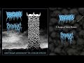 Protovirus Nyctophagia Split FULL ALBUM 2022 Deathgrind Goregrind
