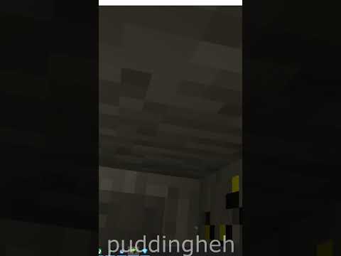 puddingheh - Got the Minecraft VR chela #shorts