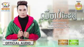 ឈឺចាប់ចៃដន្យ - ឆន សុវណ្ណរាជ [OFFICIAL AUDIO] 