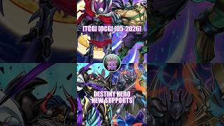 [TCG] [OCG] [05-2026] Destiny HERO New Supports Combo #yugioh #yugiohtcg #yugiohocg #destinyhero