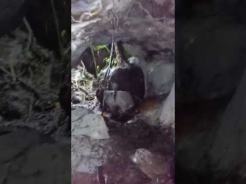Exploration Cavernas Hacienda San Fernando ven i conoce El Chaco Napo Ecuador 😃🤗👋🤗