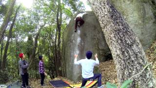 豊田　ポールポジション(d)