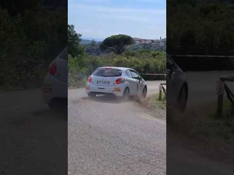Thumbnail for Tifosi in delirio…🤣🤣 #rally #peugeotsport #peugeot208 #gravel #car #isoladelba #cirwrc by Tifosi