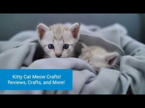 Pillsbury Gluten-Free Cake Mix Review