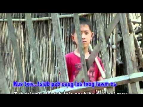 lwm yaj   txiv ncaim tav no