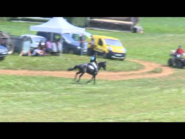 Top pouliche SFO 2025 : 4 grands-parents > 145