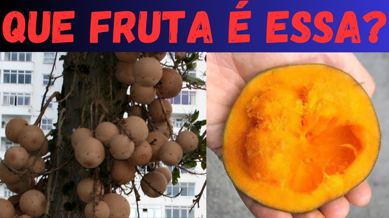 Which fruit is this? See if you know Brazilian fruits.