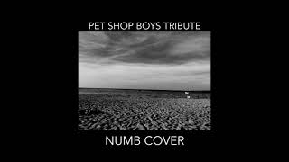 Pet Shop Boys Tribute Numb Cover