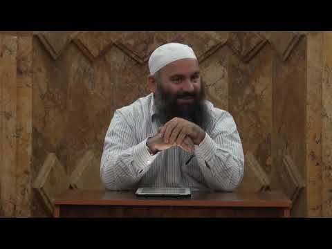 Albani dhe Arnauti - Hoxhë Bekir Halimi