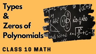 Types & Zeroes of Polynomials | Polynomials | Math Class 9 | Letstute