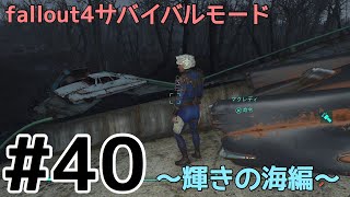 fallout 4 four play violate fallout 4 four play violate