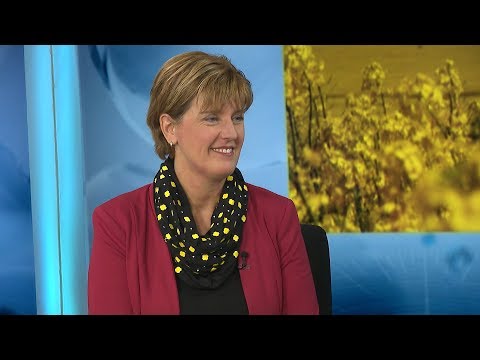 download lagu mp3 mp4 Marie Claude Bibeau, download mp3 Marie Claude Bibeau free downloadn, video klip Marie Claude Bibeau