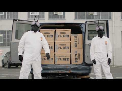 Video thumbnail for Flies