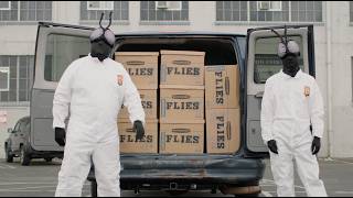 Cheekface – “Flies”