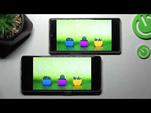 Display Comparison of CUBOT Max 3 vs Cubot P50 // Which phone have better display