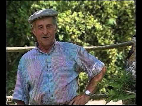Quand lo mèstre ven del mercat… (1/5)