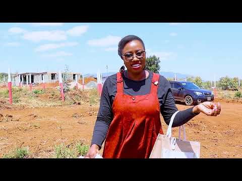 Are These Title Deeds Real? | Land For Sale In Ngong, Kenya
