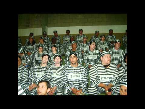 Unidos do Morro 2011