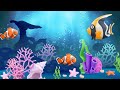 Sea Fish Aquarium Underwater Animation The Sound Of Water And Soothing Music