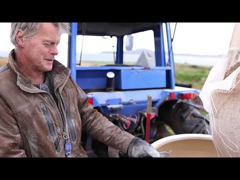 Sweetening the soil with lime