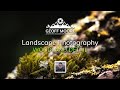 Photographing Local Woodland Detail | Woodland Flower Macro Photography | Geoff Moore Photography