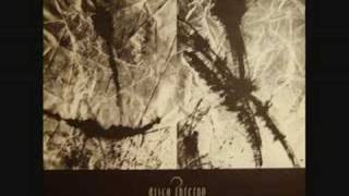 Disco Inferno - Waking Up