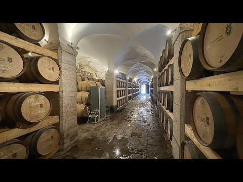 Starting History Again: How the resurrection of Carcavelos is saving a lost culture