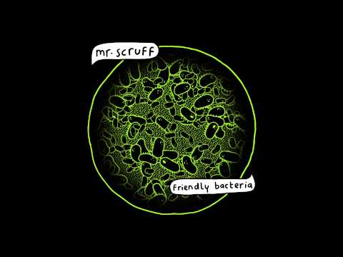 Mr Scruff - He Don't (feat. Robert Owens)