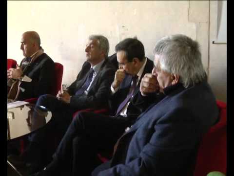 ONDA TG 7.12.2013 - CONVEGNO DMC: INTERVISTA ROBERTO MONTAGNA