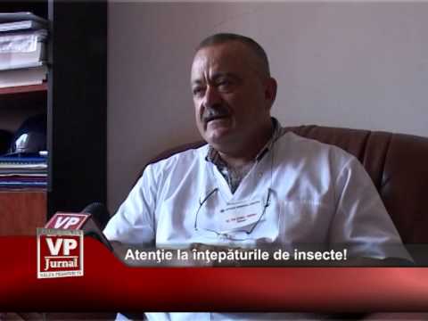Atenție la înțepaturile de insecte