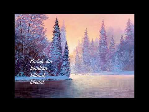 Sellel talvel kingin aega - Laura Junson