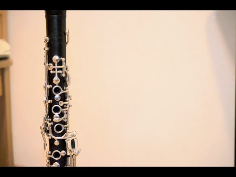 Familienmusik Runggatscher - Gerold Klarinetten Challenge