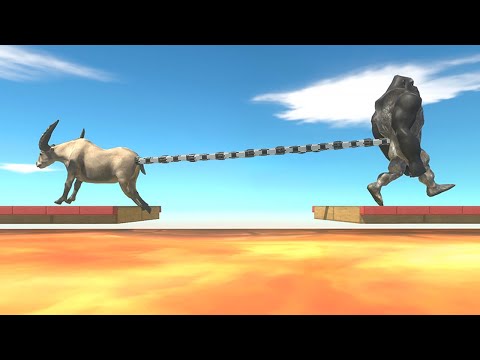 Tug of War Animals vs Monkeys Over Lava Pool - Animal Revolt Battle Simulator