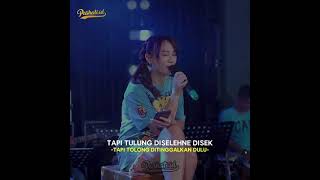 Download lagu Story Wa ( Happy Asmara - Ojo Nangis ) mp3