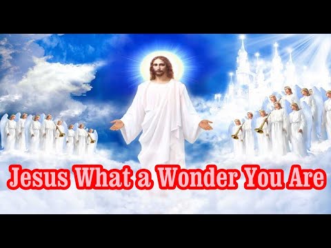 Jesus What a Wonder You Are